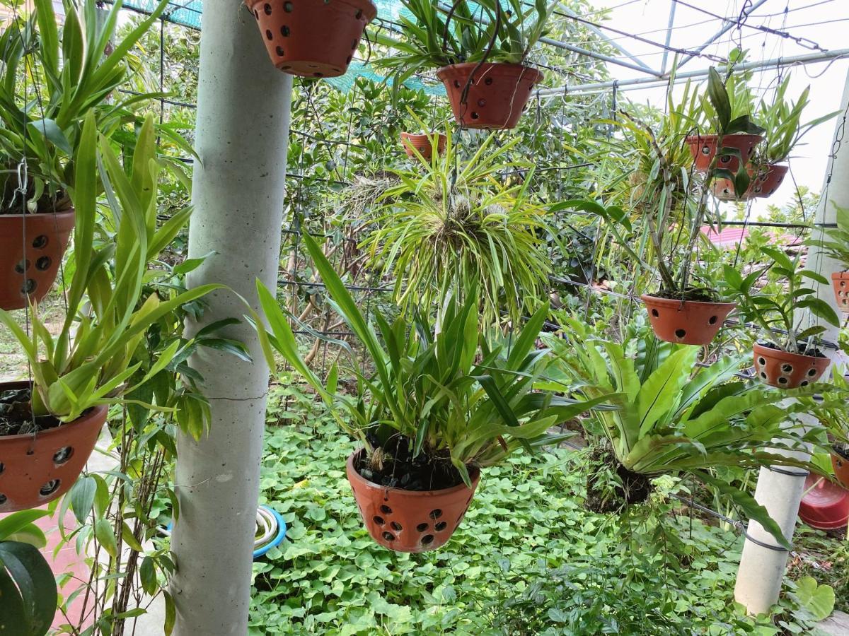Tre Xanh Homestay Ninh Binh Esterno foto