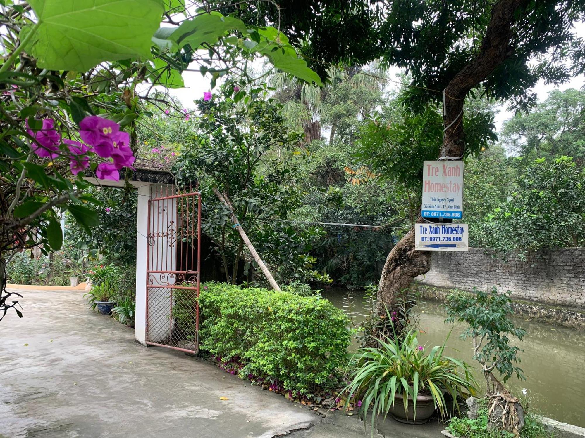 Tre Xanh Homestay Ninh Binh Esterno foto