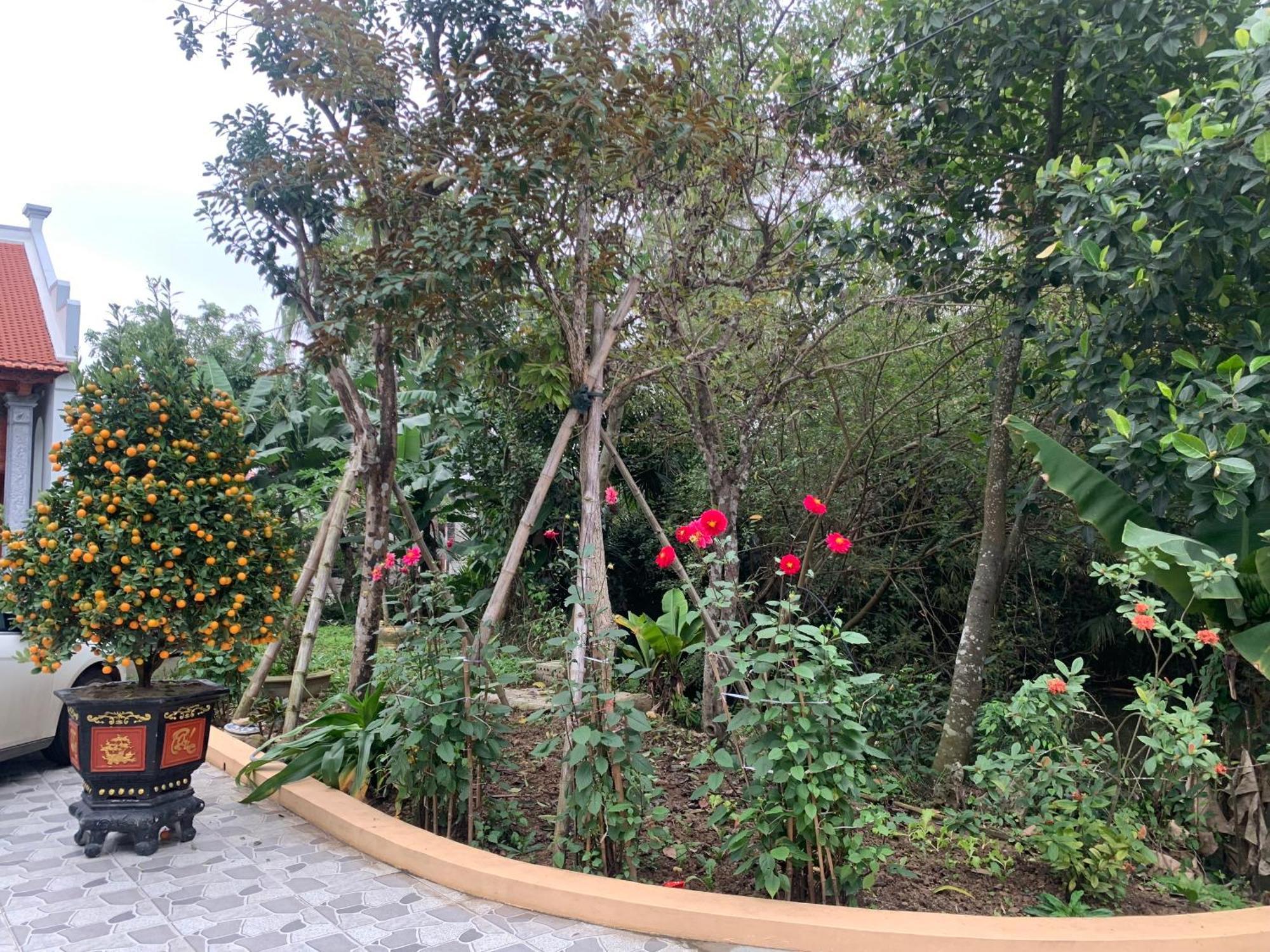 Tre Xanh Homestay Ninh Binh Esterno foto
