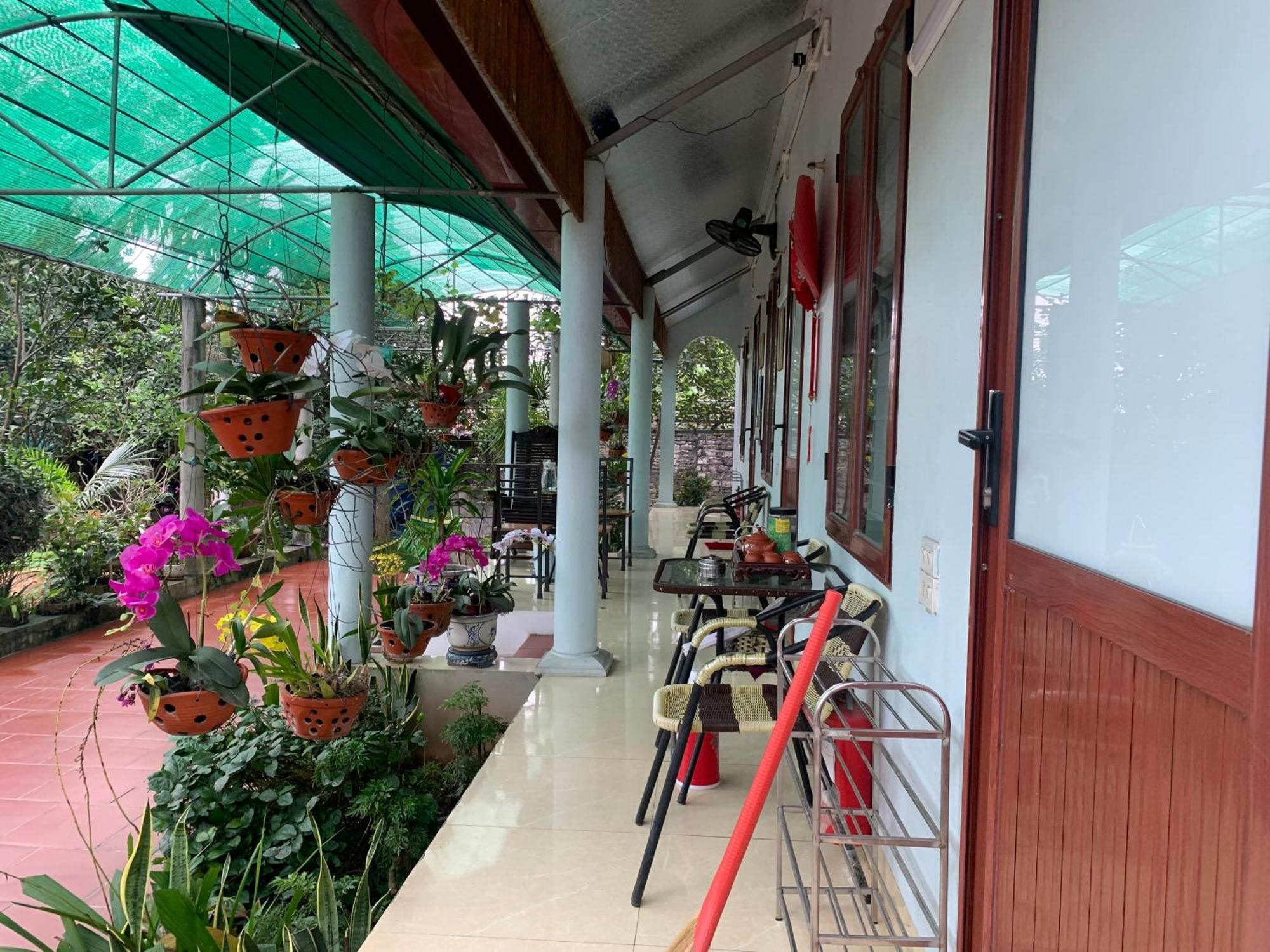 Tre Xanh Homestay Ninh Binh Esterno foto