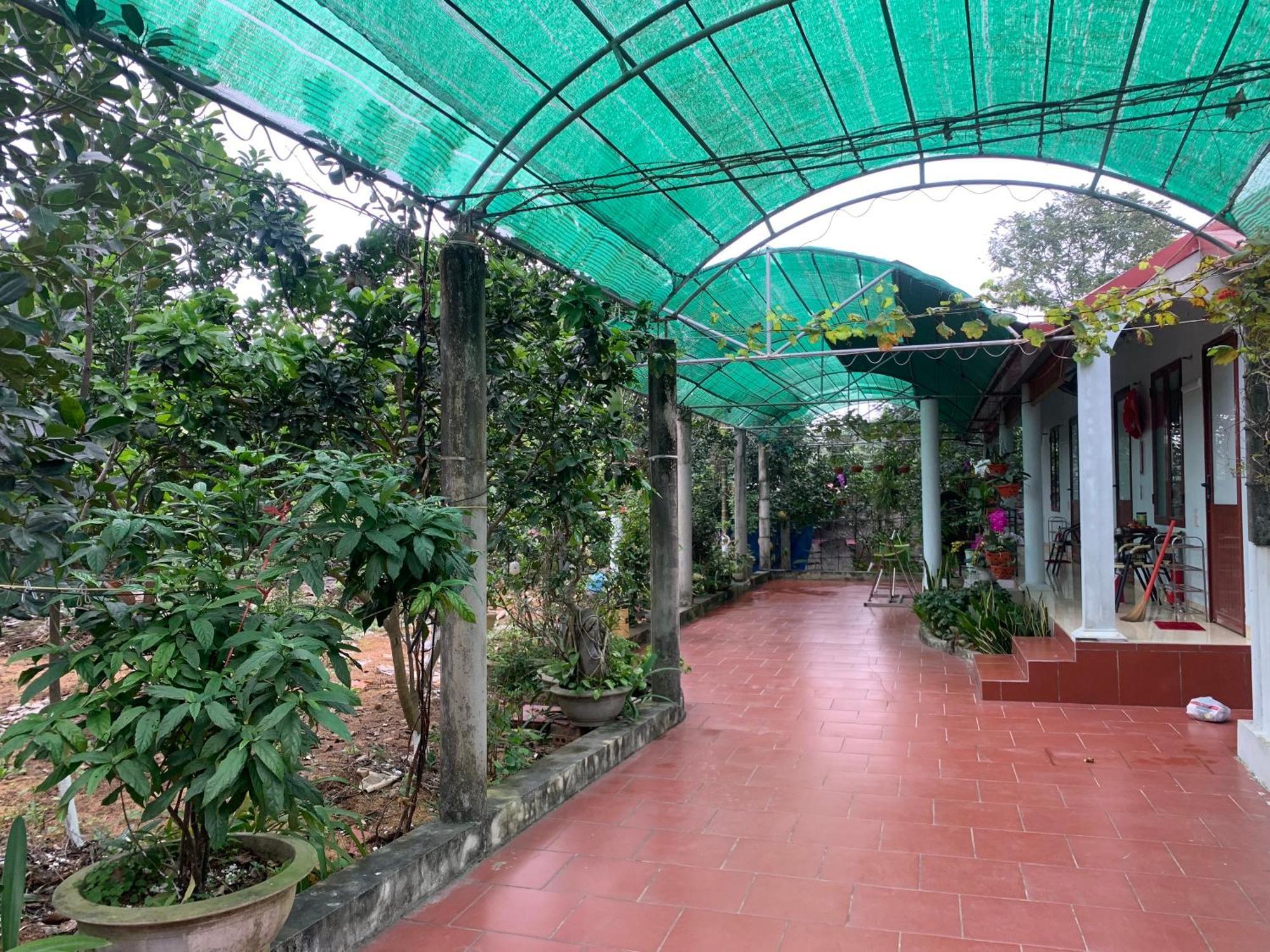 Tre Xanh Homestay Ninh Binh Esterno foto