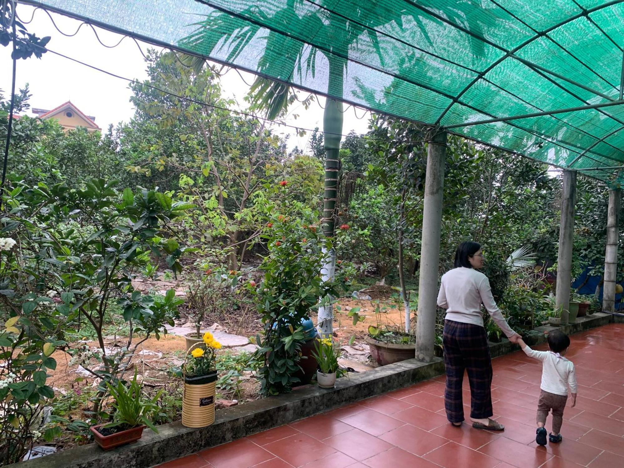 Tre Xanh Homestay Ninh Binh Esterno foto