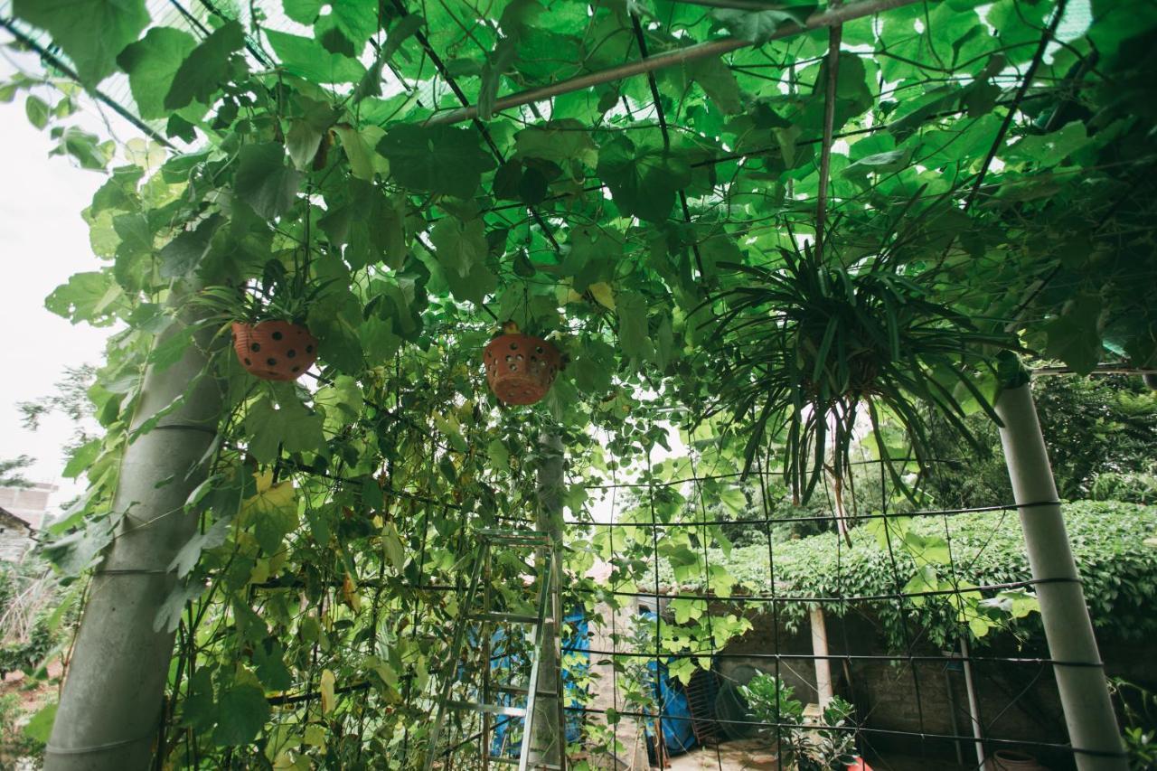 Tre Xanh Homestay Ninh Binh Esterno foto